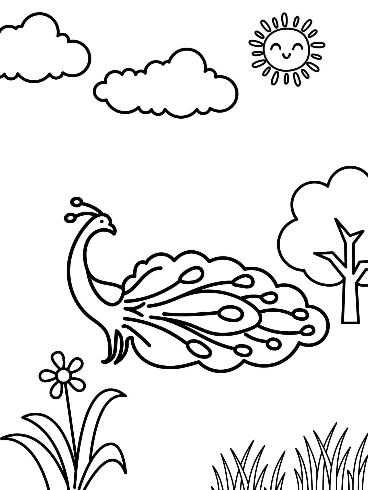 Beautiful Peacock In Garden Coloring Page