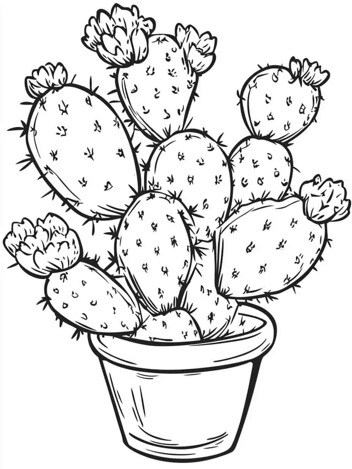 Blooming Cactus Pot Coloring Pages