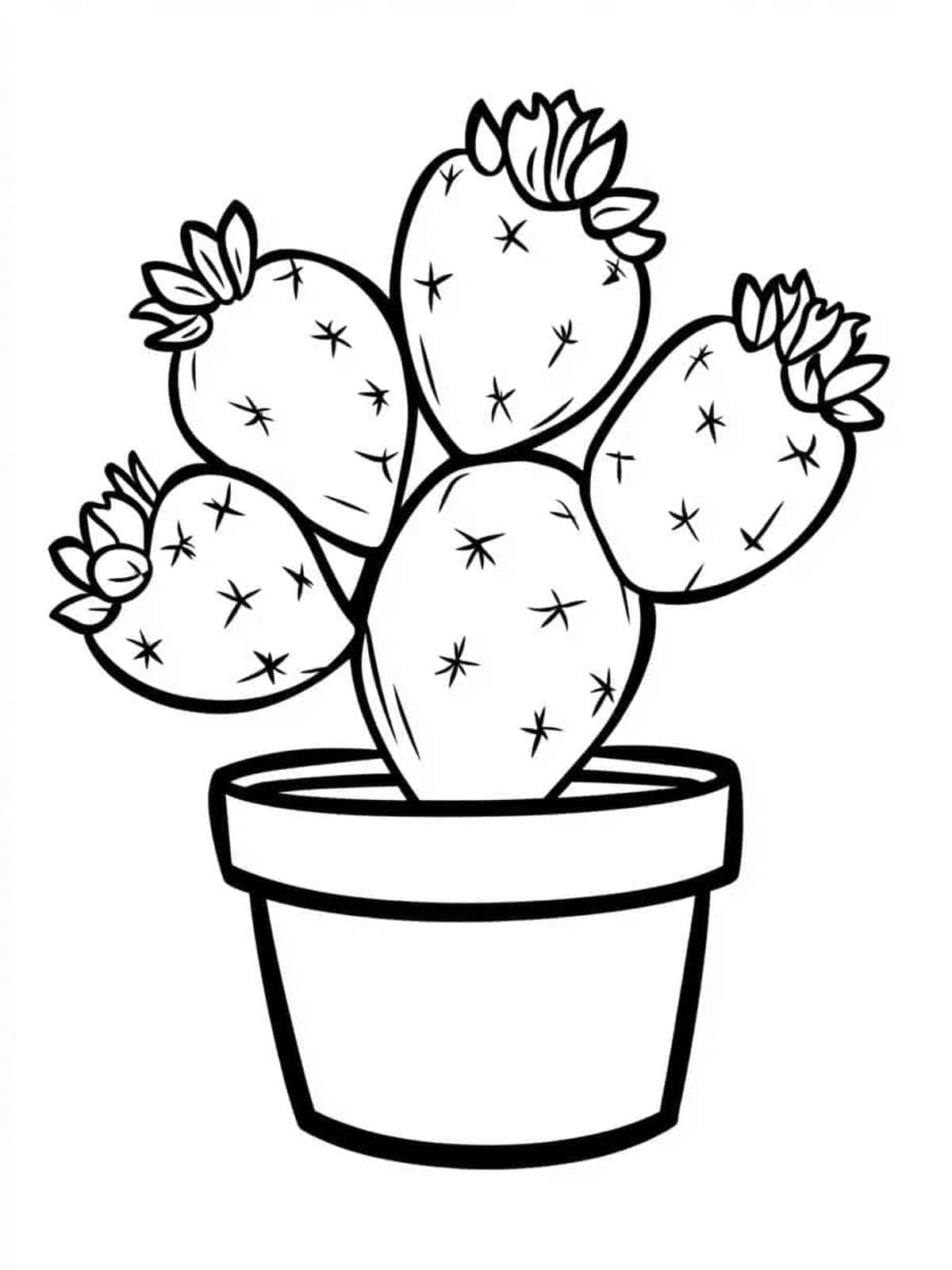 Cactus Bloom Coloring Pages