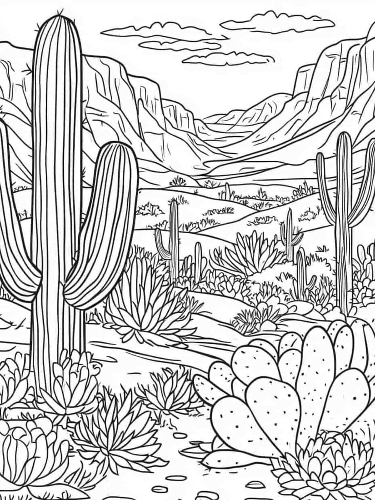 Cactus Desert Path Coloring Pages