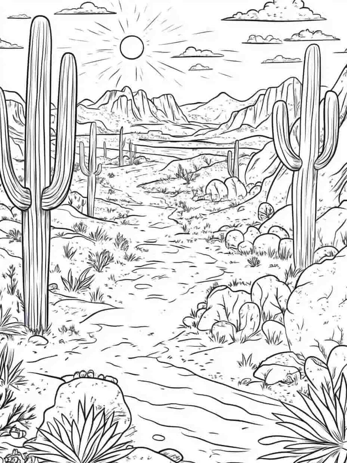 Cactus Trail Coloring Pages