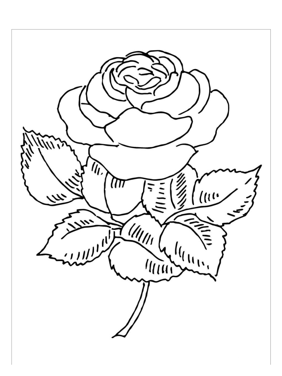 Cartoon Rose Coloring Pages