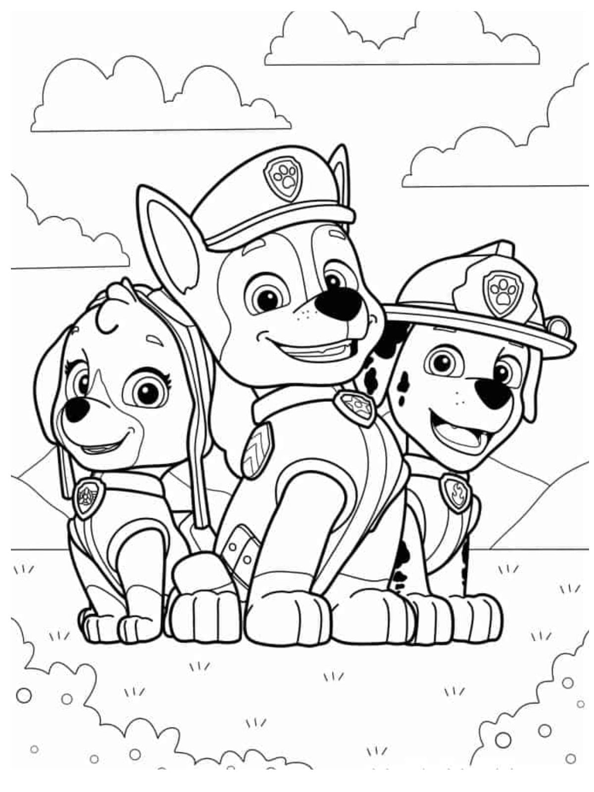 Chase Skye And Marshall Coloring Page