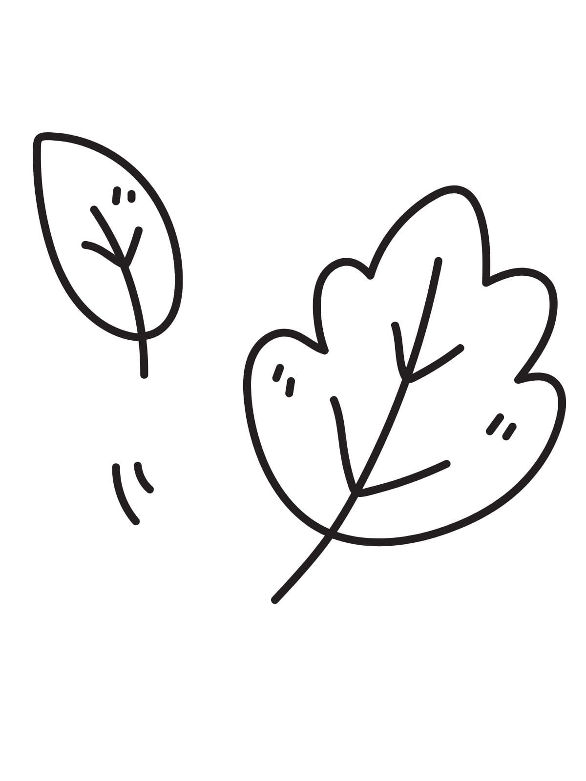 Cute Nature Inspired Leaf Coloring Sheets