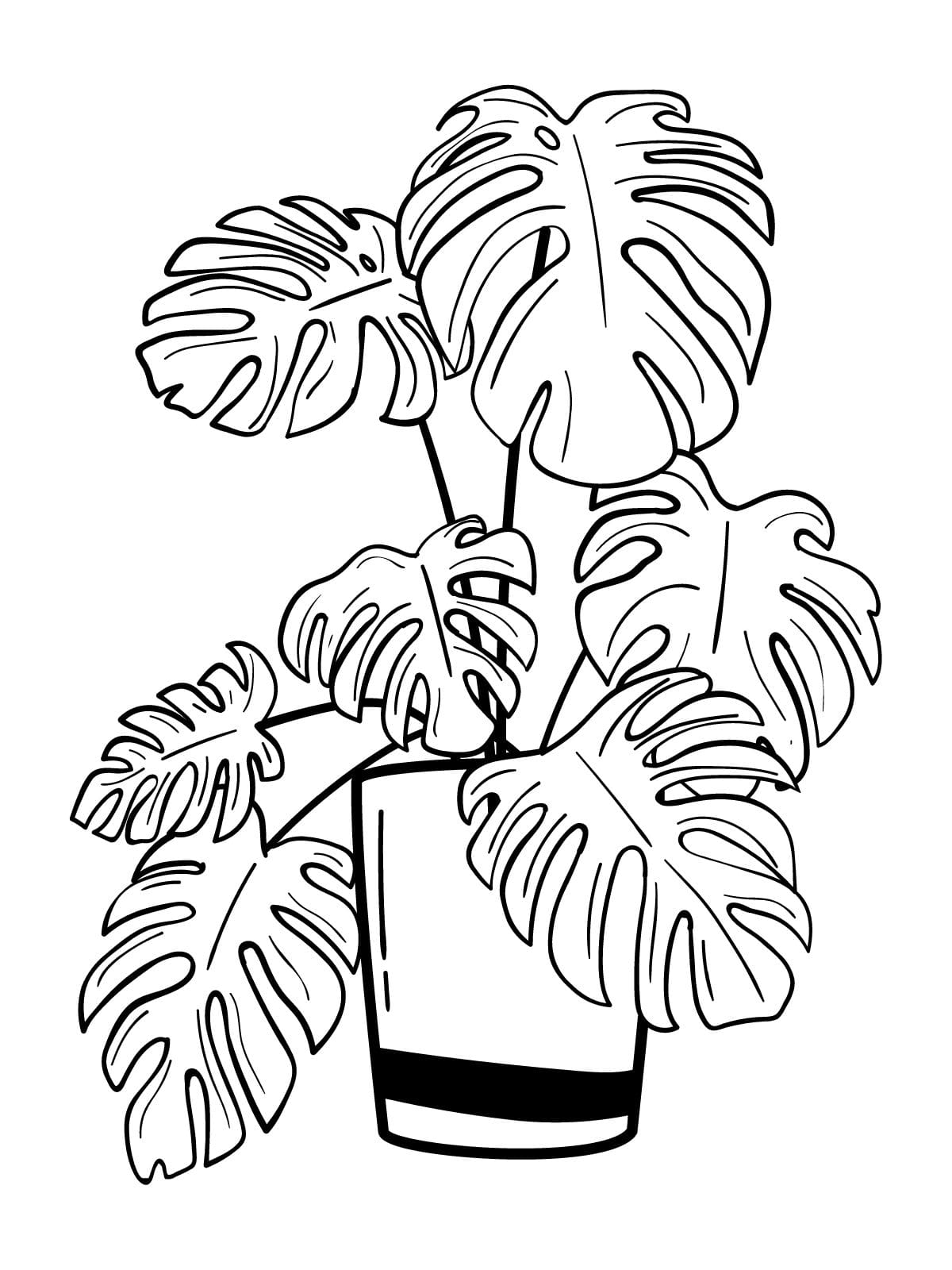 Downloadable Leaf Coloring Pages