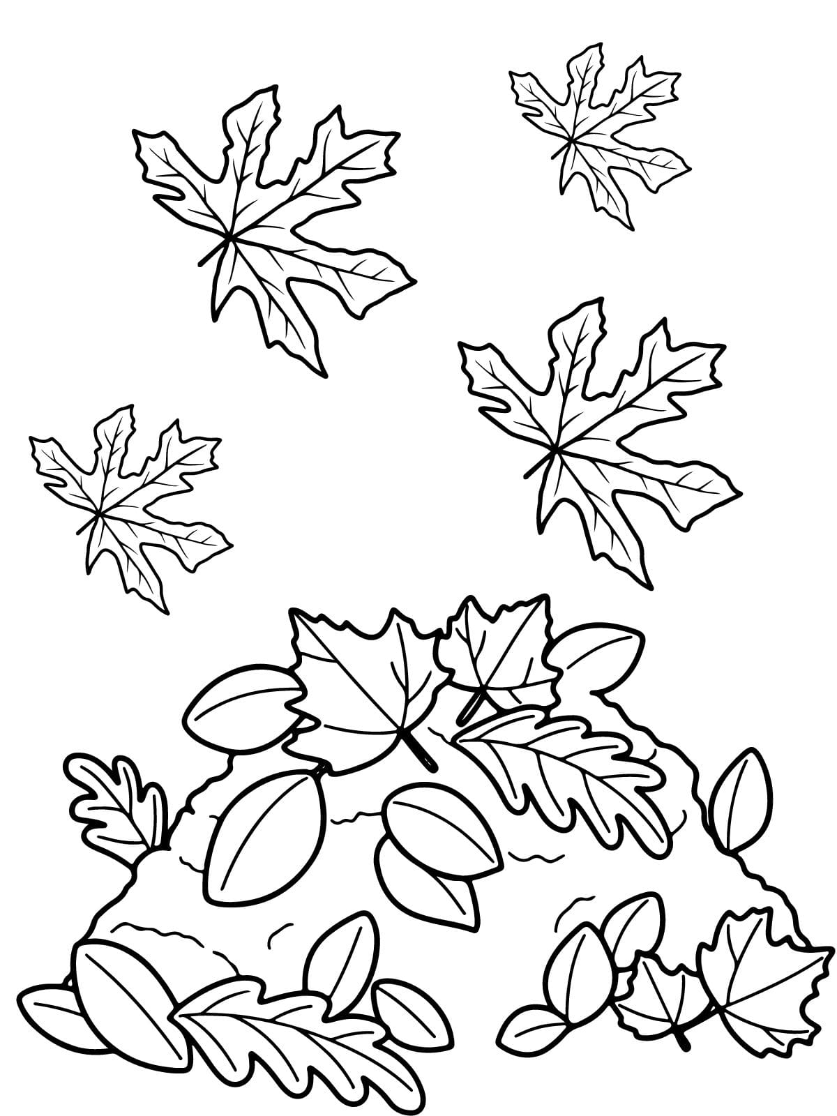 Easy To Color Leaf Patterns Coloring Pages