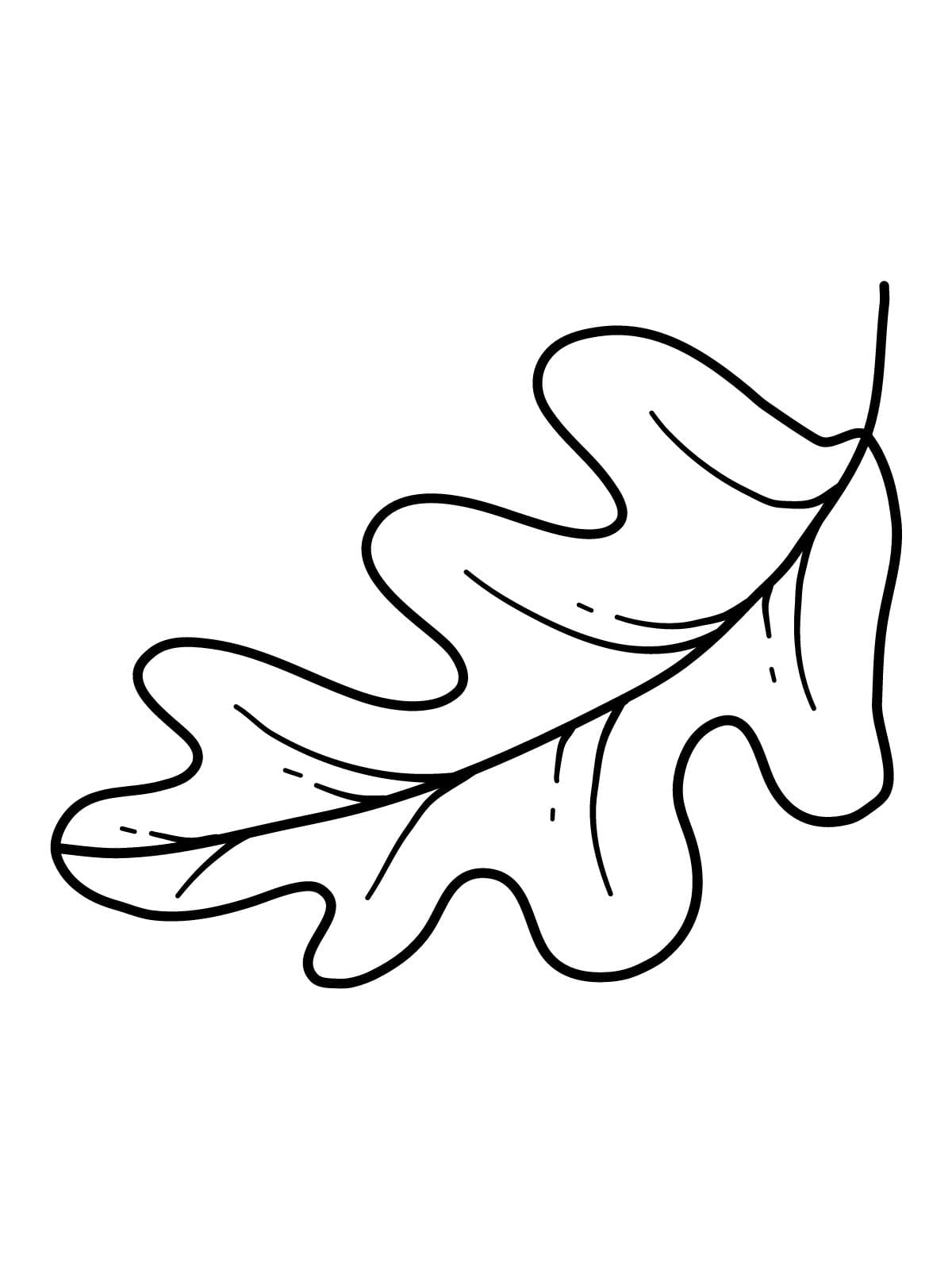 Educational Leaf Coloring Pages