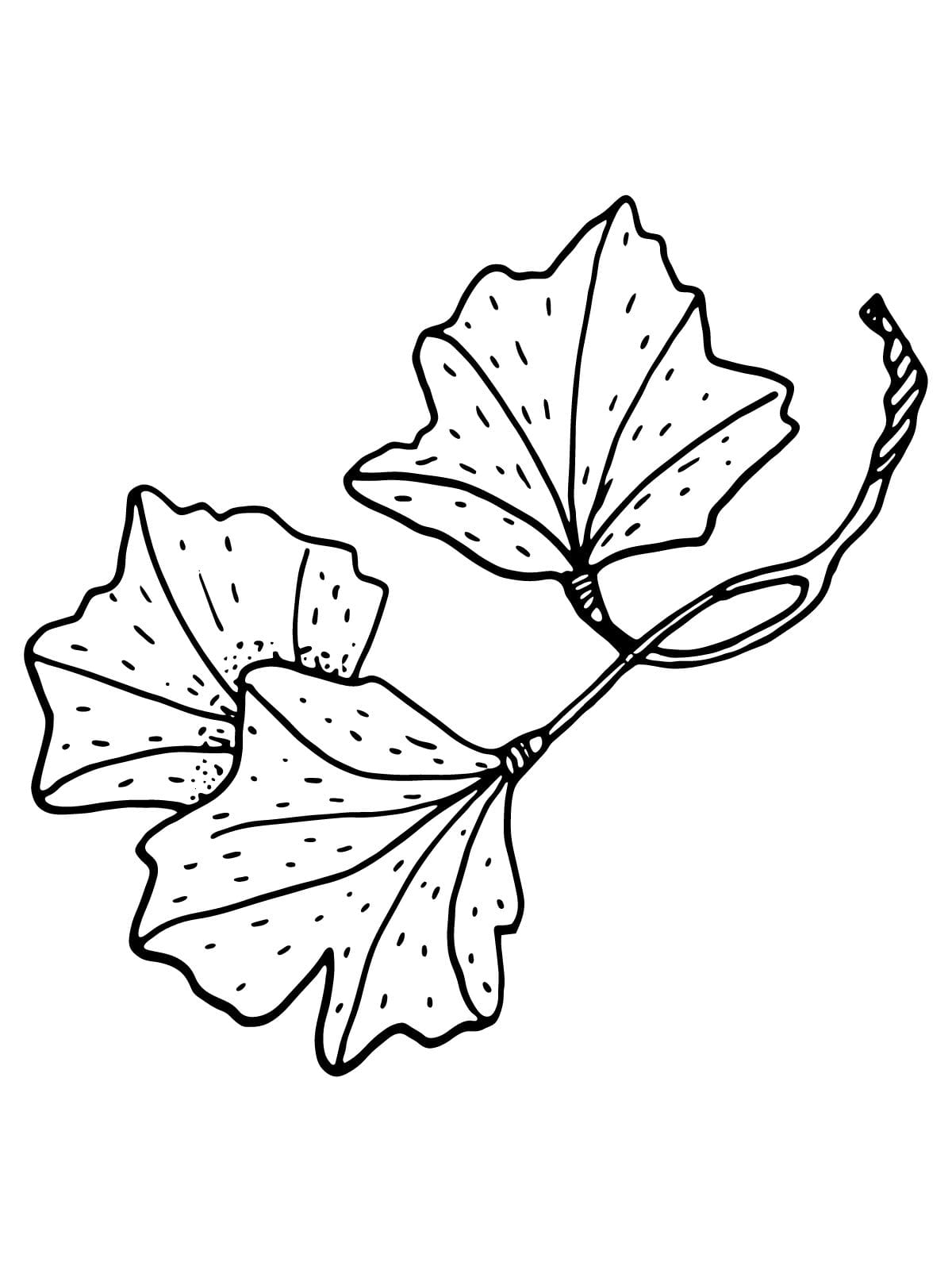 Fall Themed Leaf Coloring Pages