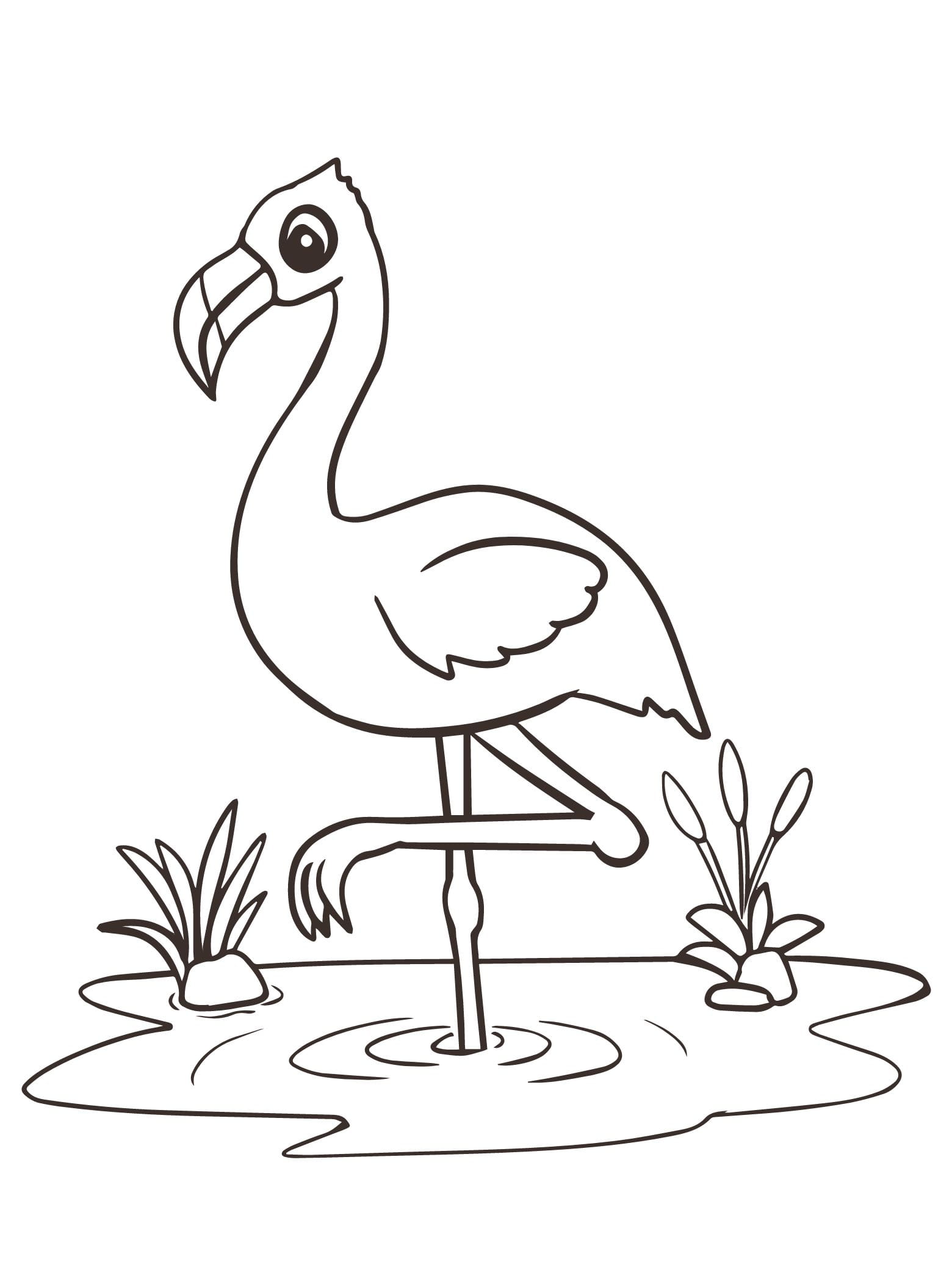 Flamingo Standing On One Leg Coloring Page