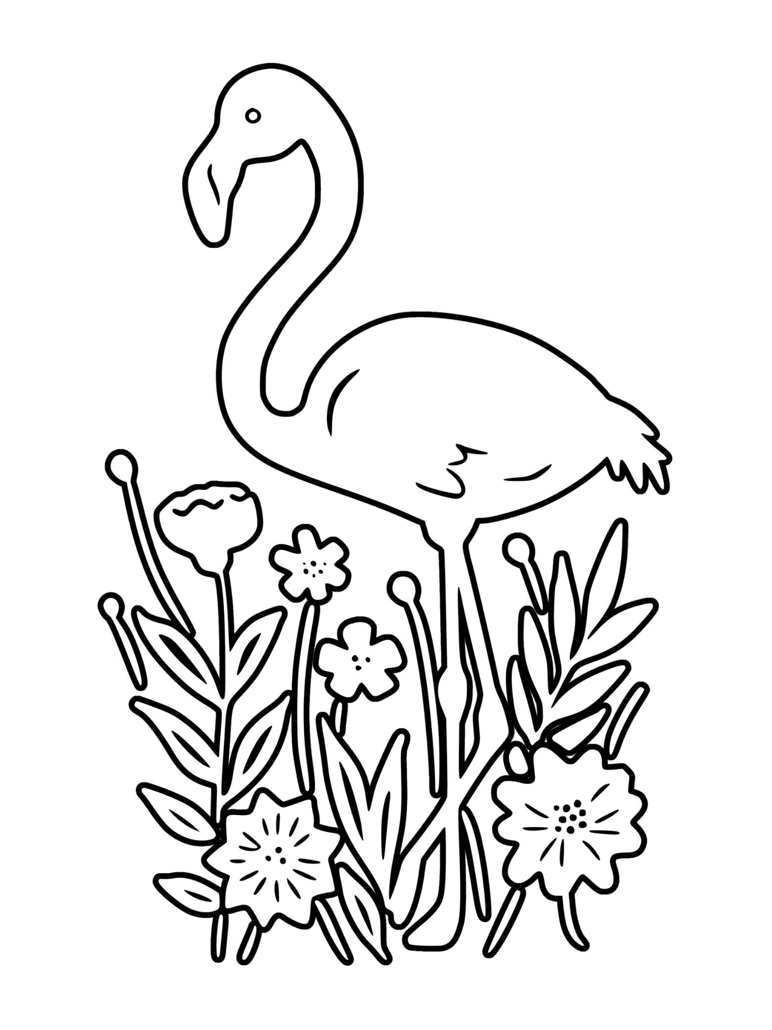 Flamingo Standing On One Leg Coloring Sheets