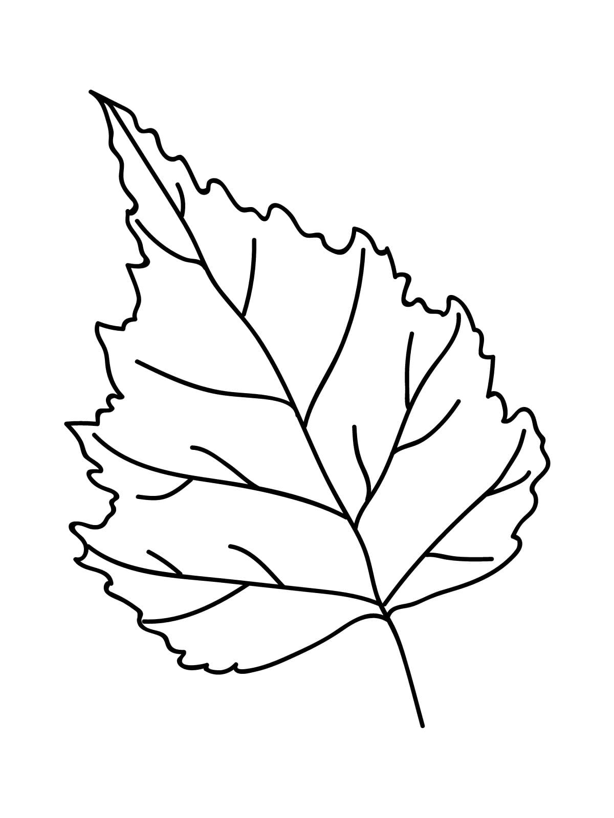 Forest Themed Leaf Coloring Pages