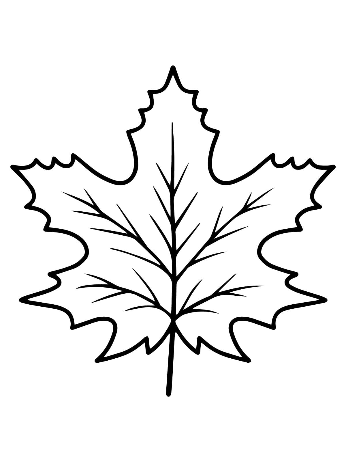 High Quality Leaf Coloring Pages Printable