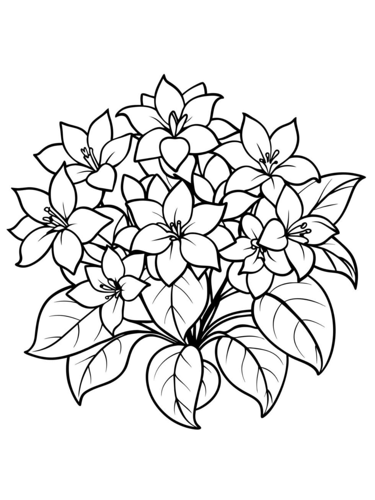 Jasmine Flower Bouquet Coloring Page For Kids