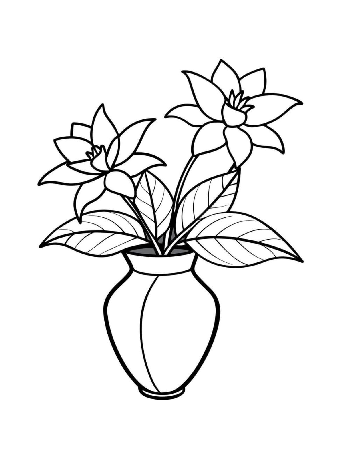 Jasmine Flower Outline Coloring Page For Kids