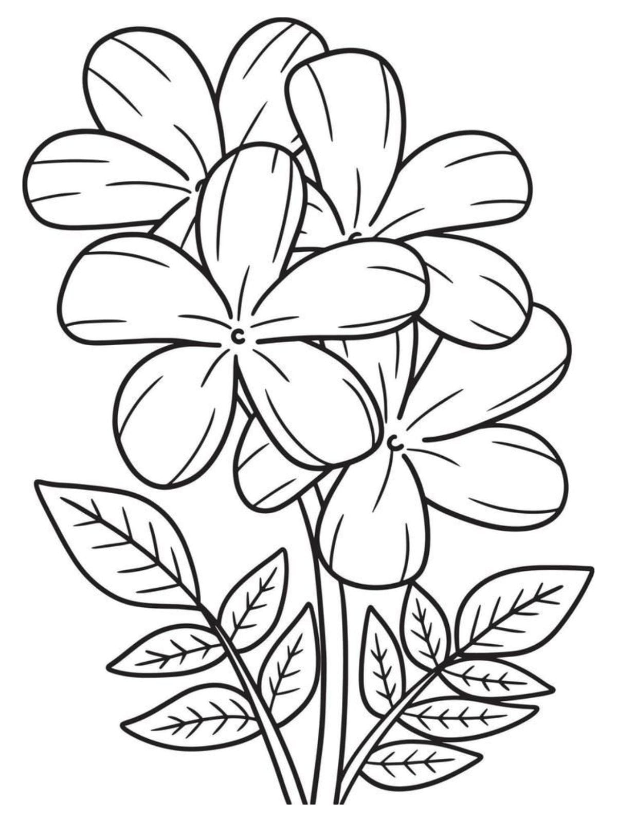 Jasmine Flower Style Coloring Page