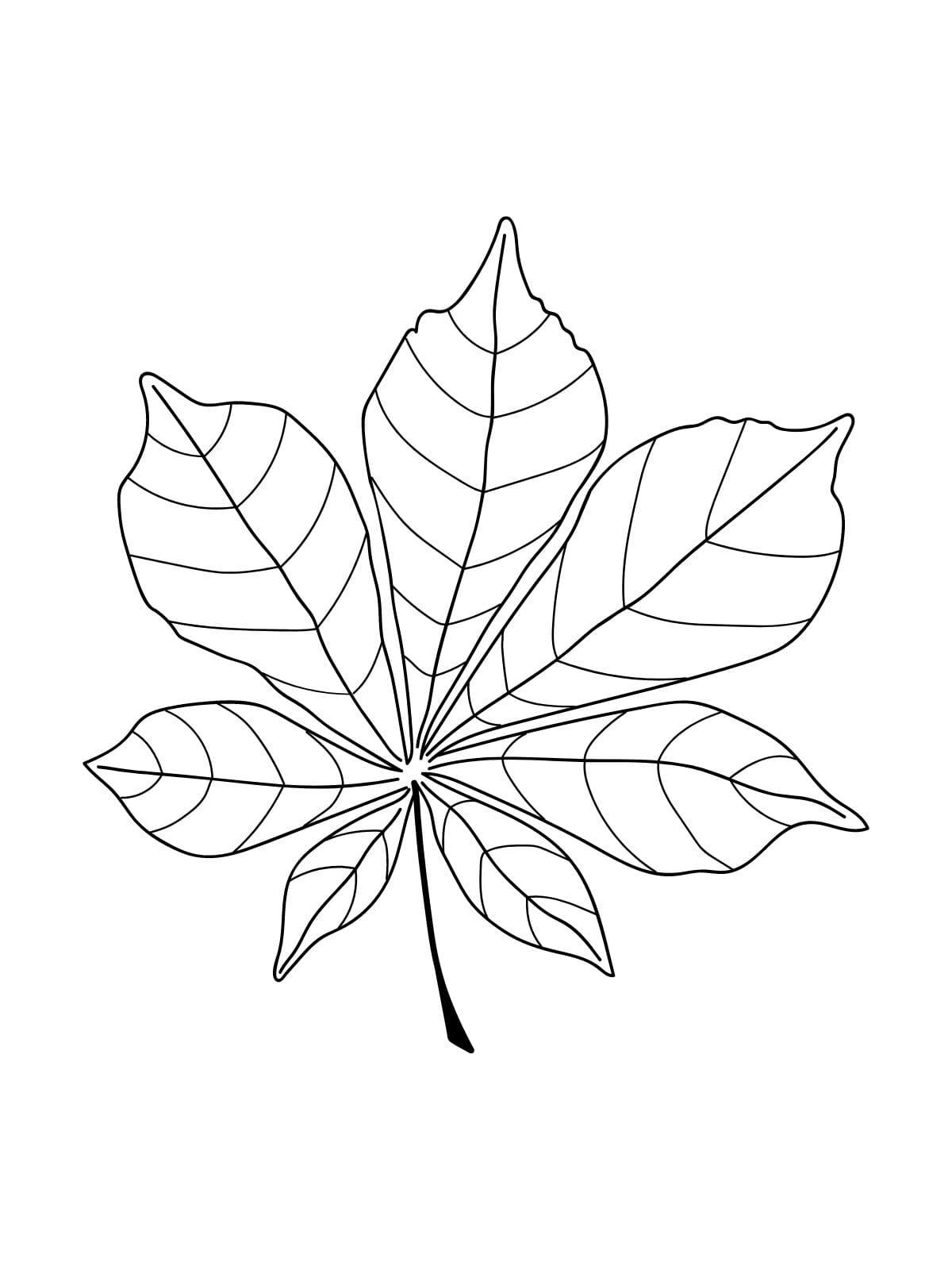 Jungle Themed Leaf Coloring Pages