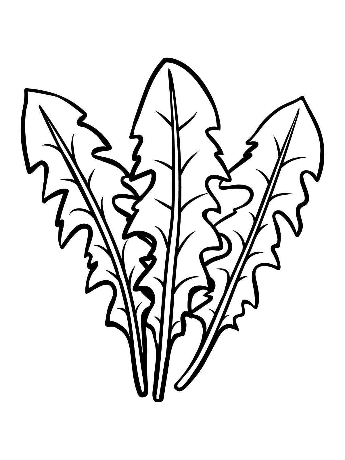 Leaf Coloring Pages Pdf Download