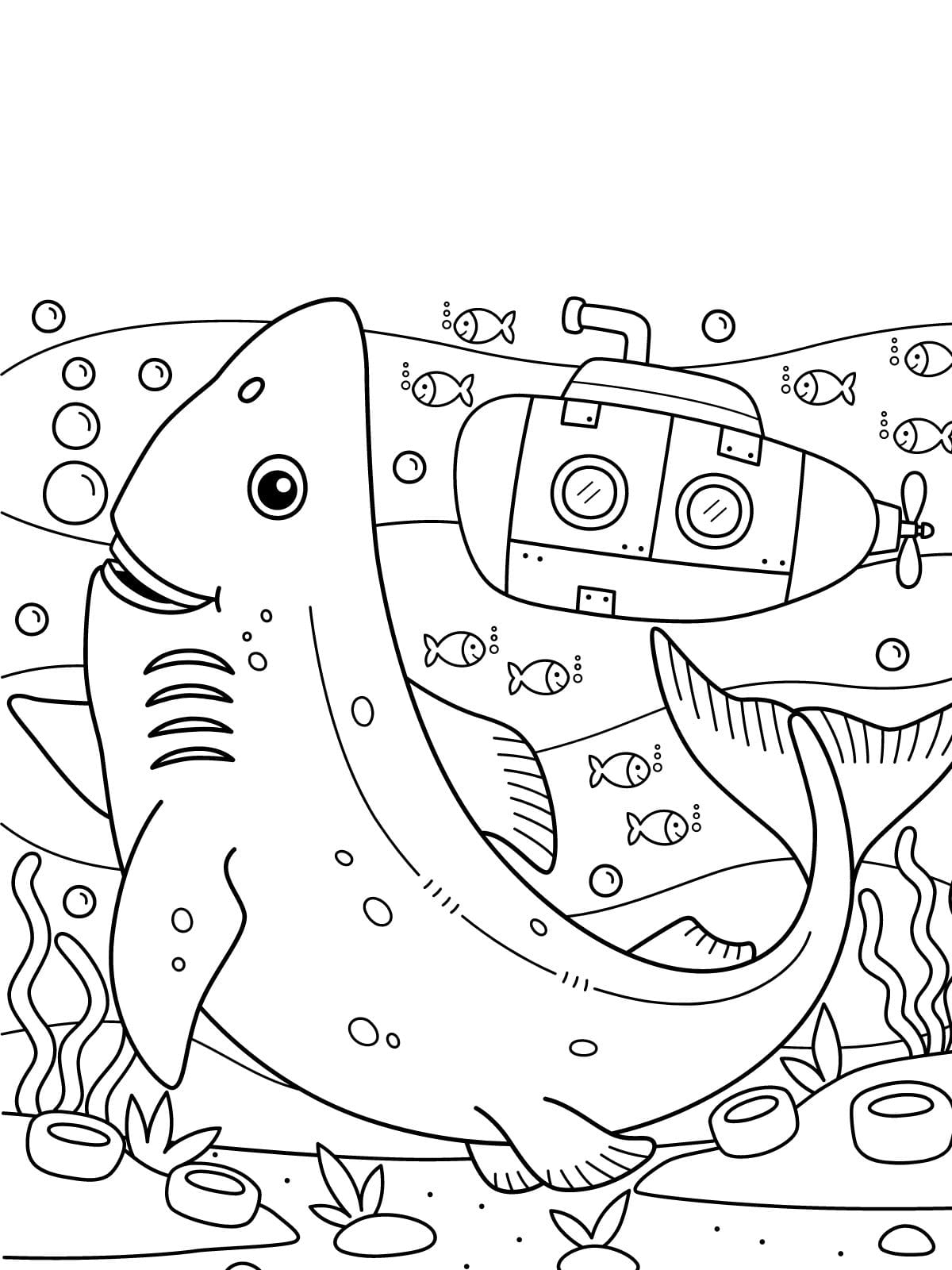 Marine Animals Coloring Sheets