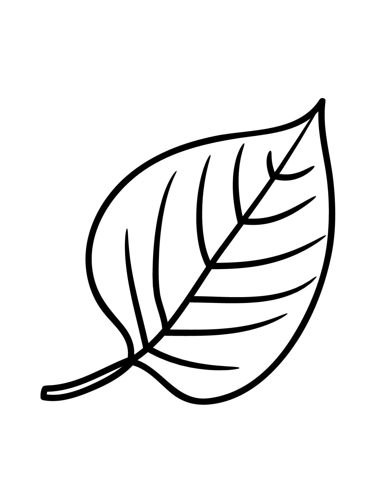 Nature Inspired Leaf Coloring Sheets