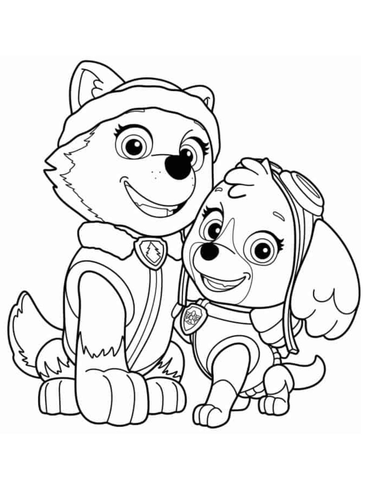 Paw Patrol Skye And Everest Best Friends Coloring Page