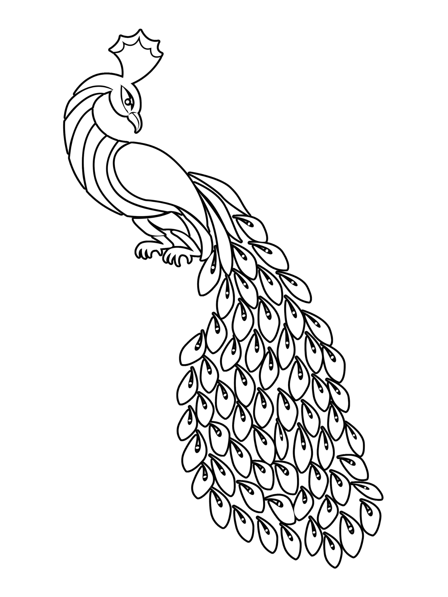 Peacock Coloring Pages For Beginners