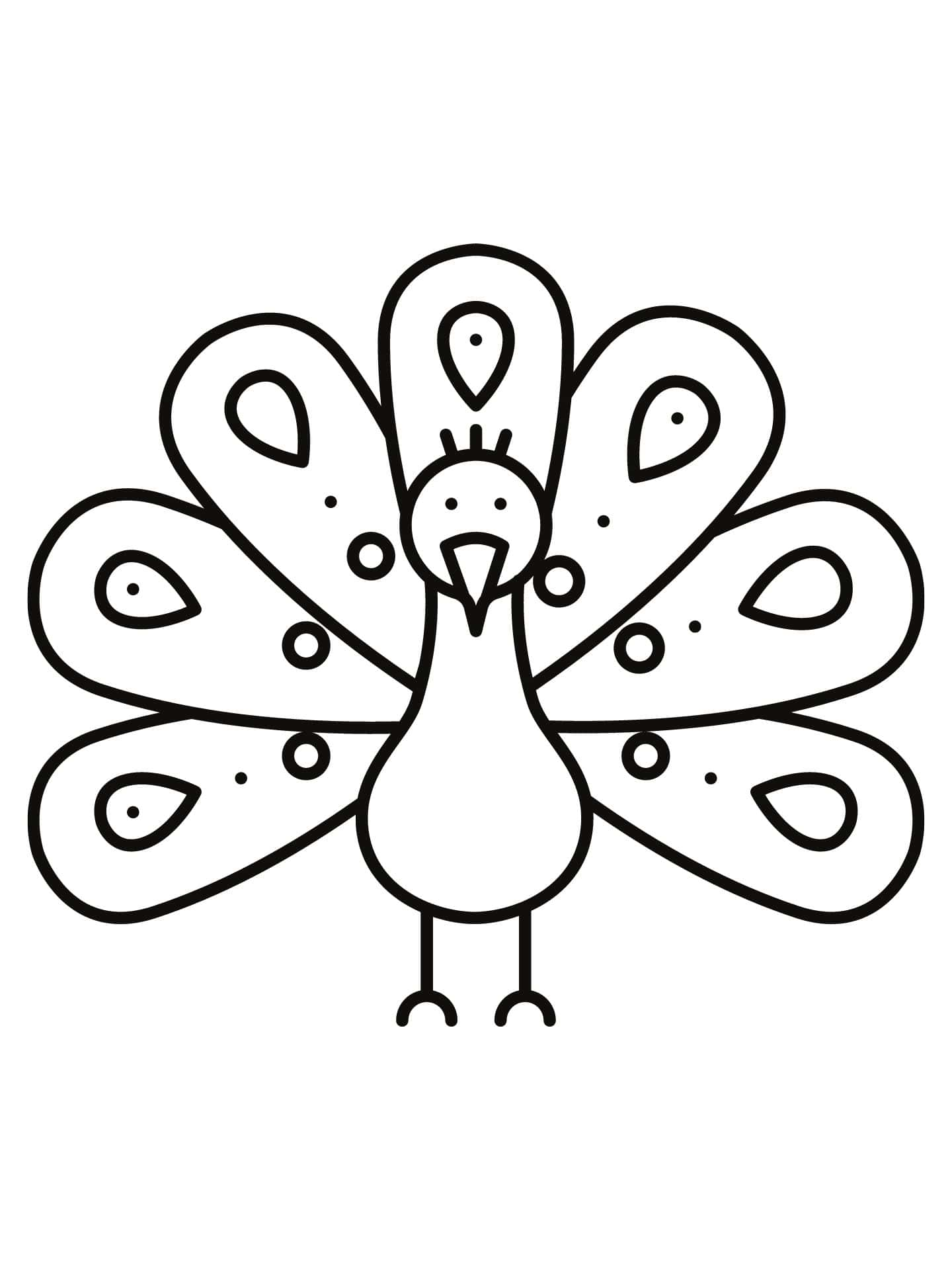 Peacock Coloring Pages For Toddlers