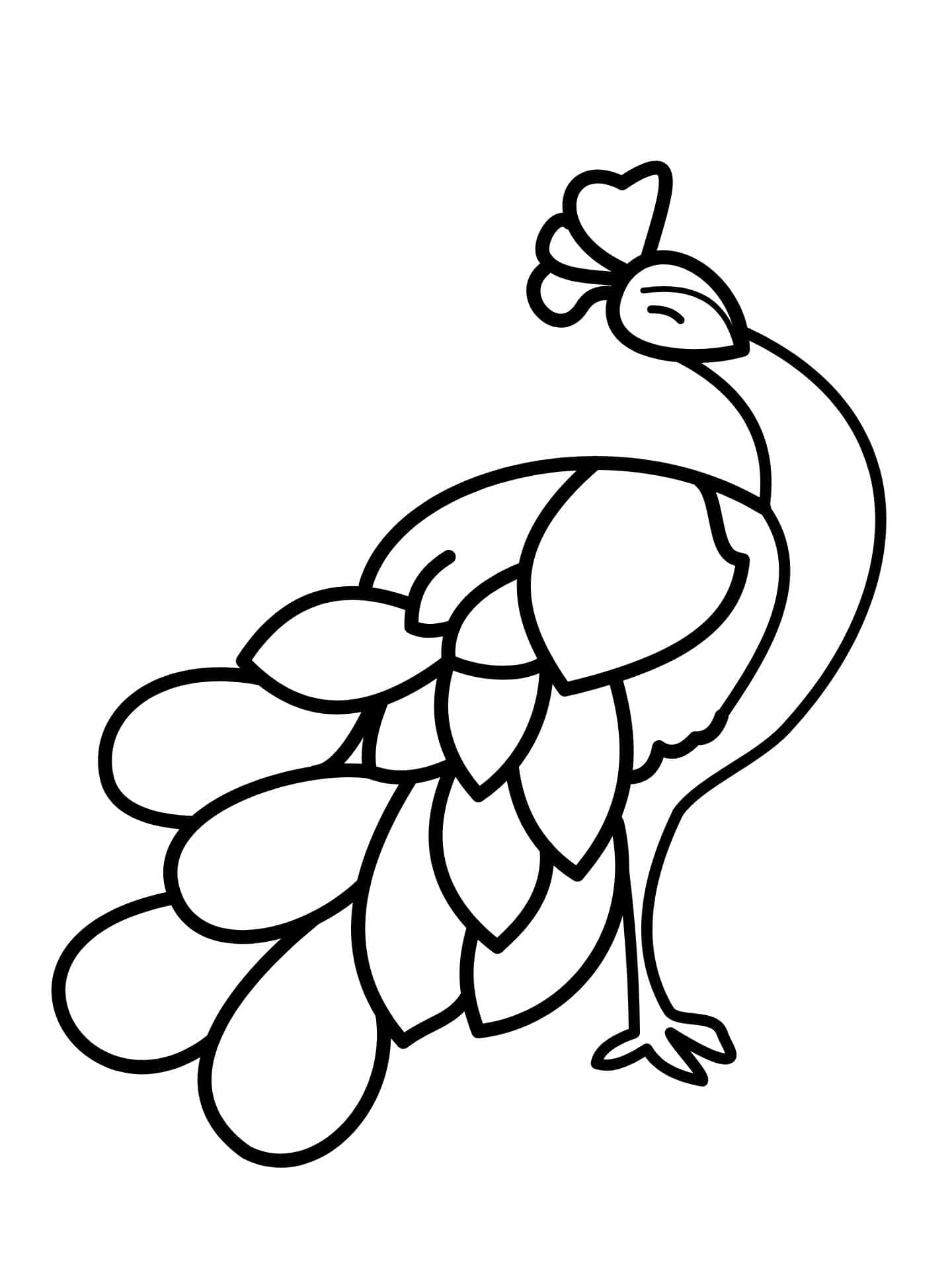 Peacock Dancing Coloring Page