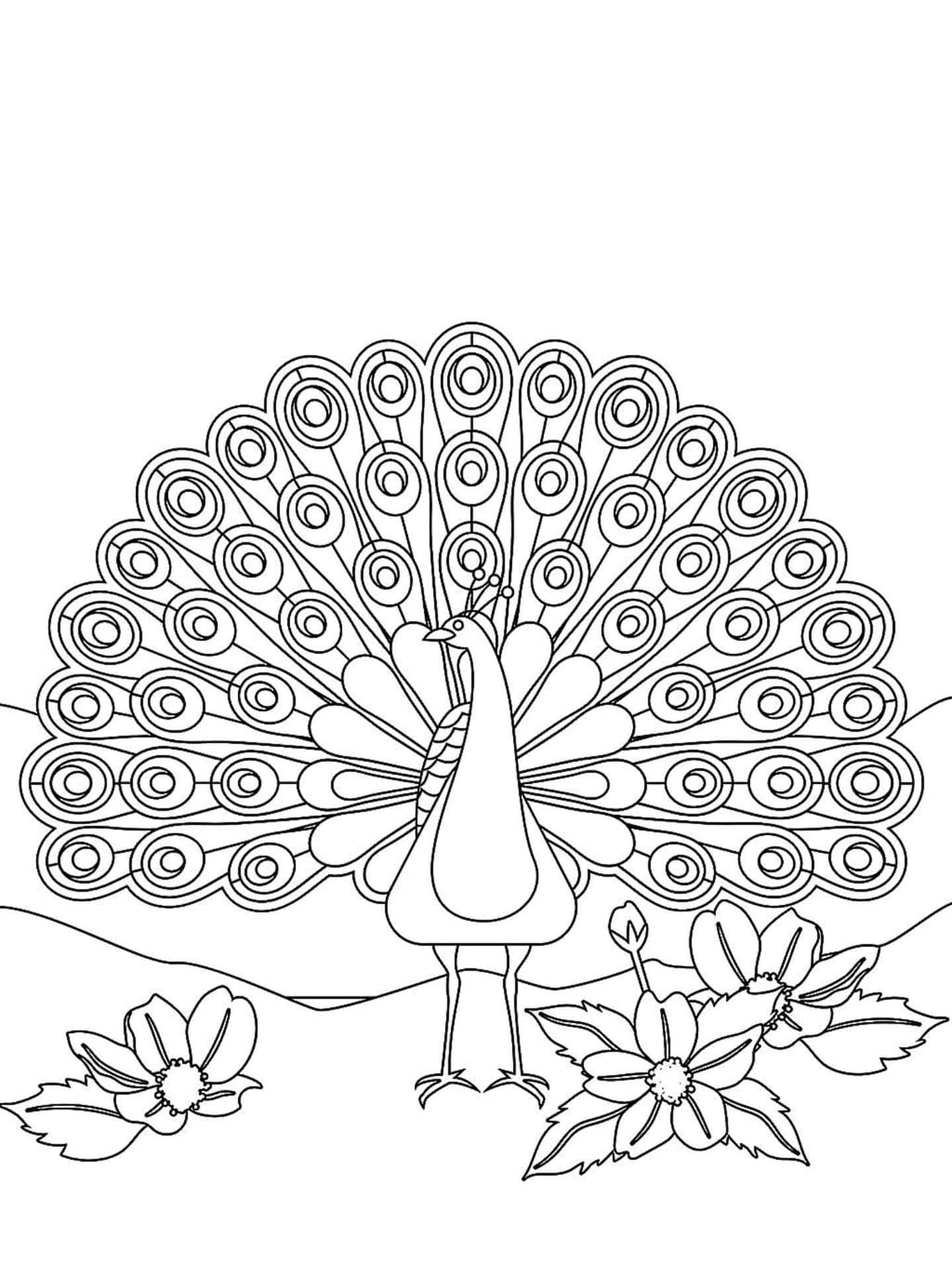 Peacock In Jungle Coloring Page