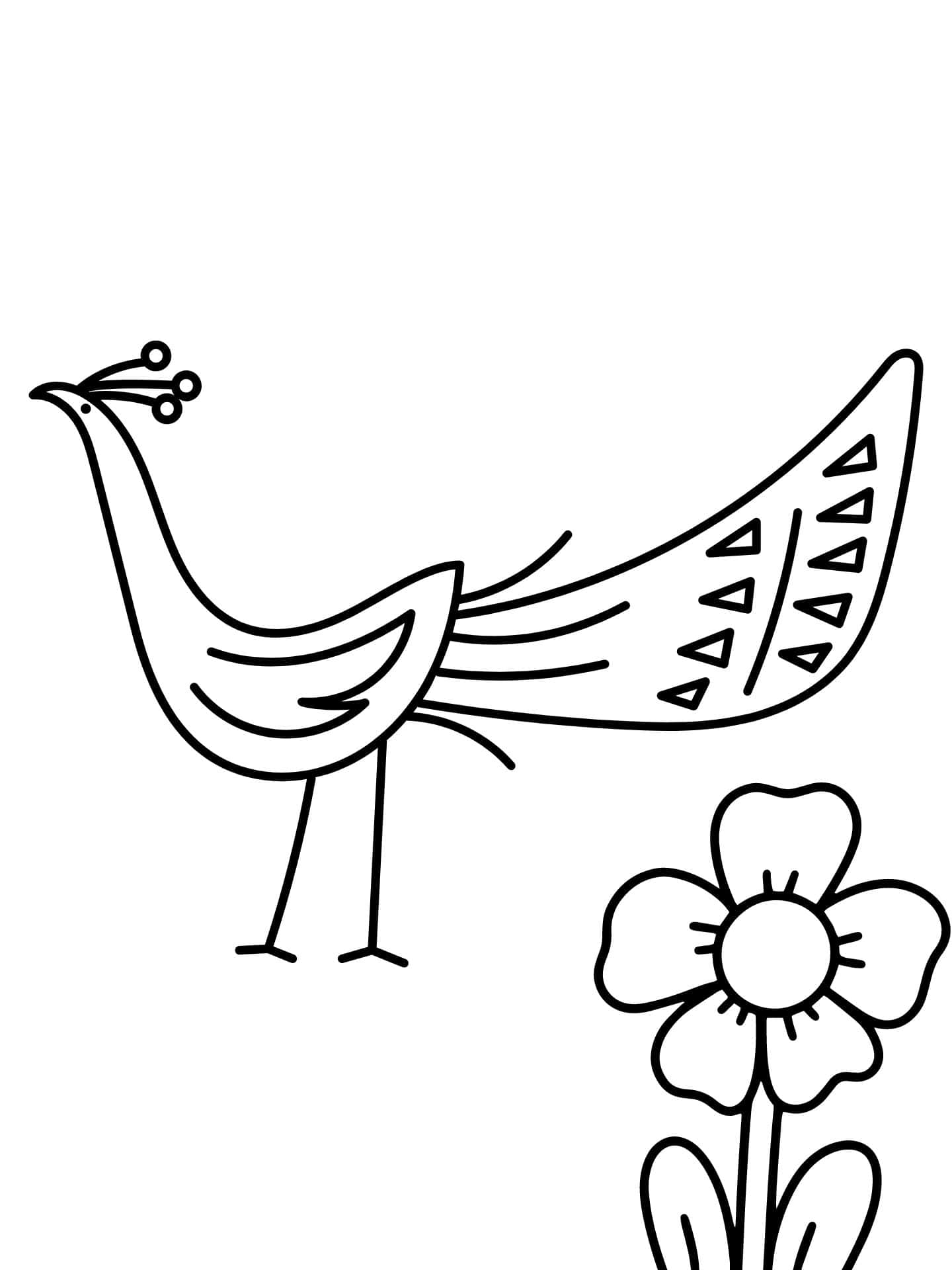 Peacock In Spring Coloring Page