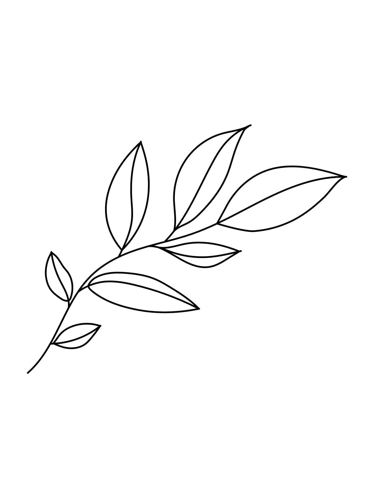 Realistic Leaf Coloring Sheets Printable