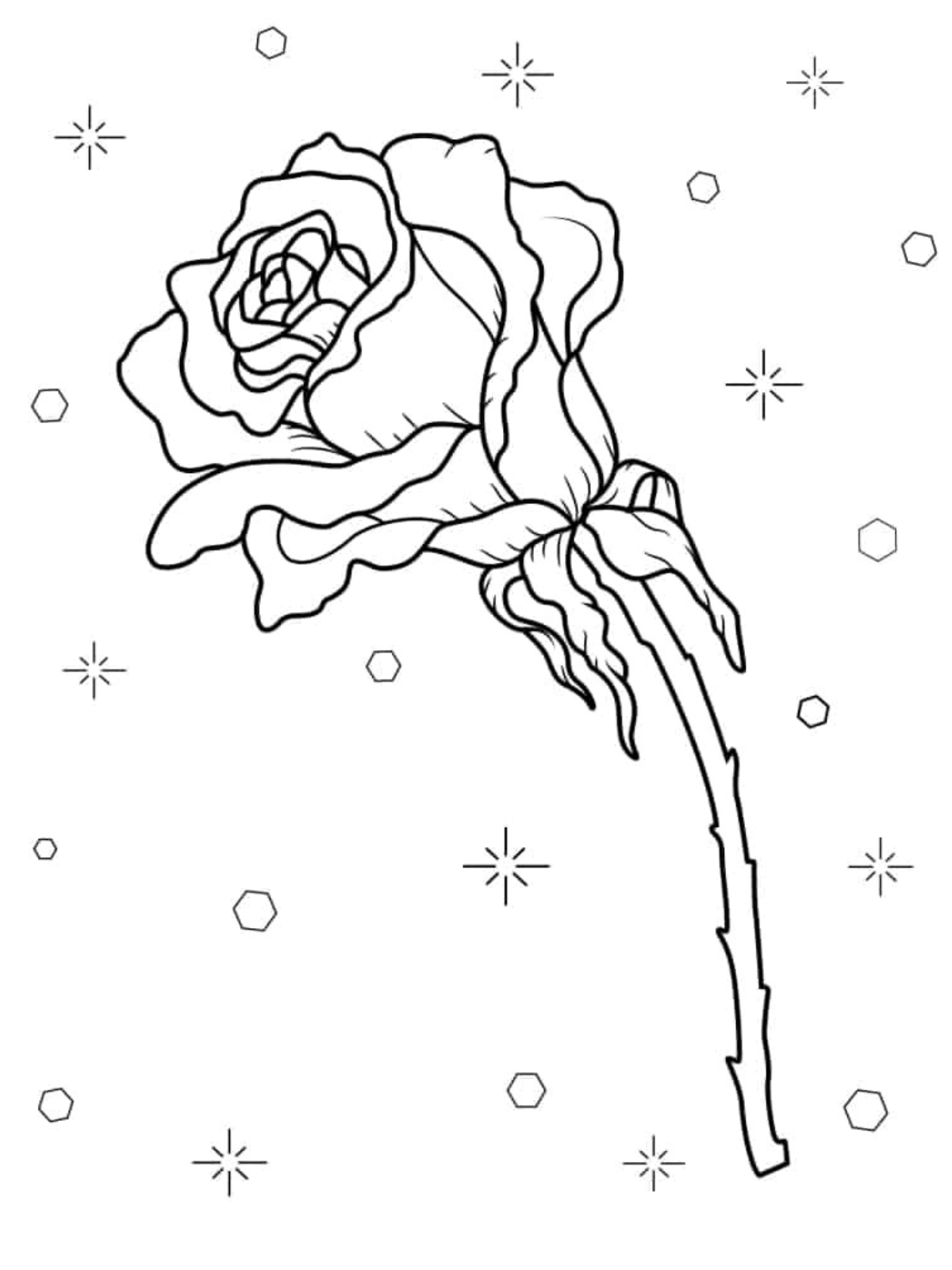 Rose Sketch Coloring Pages