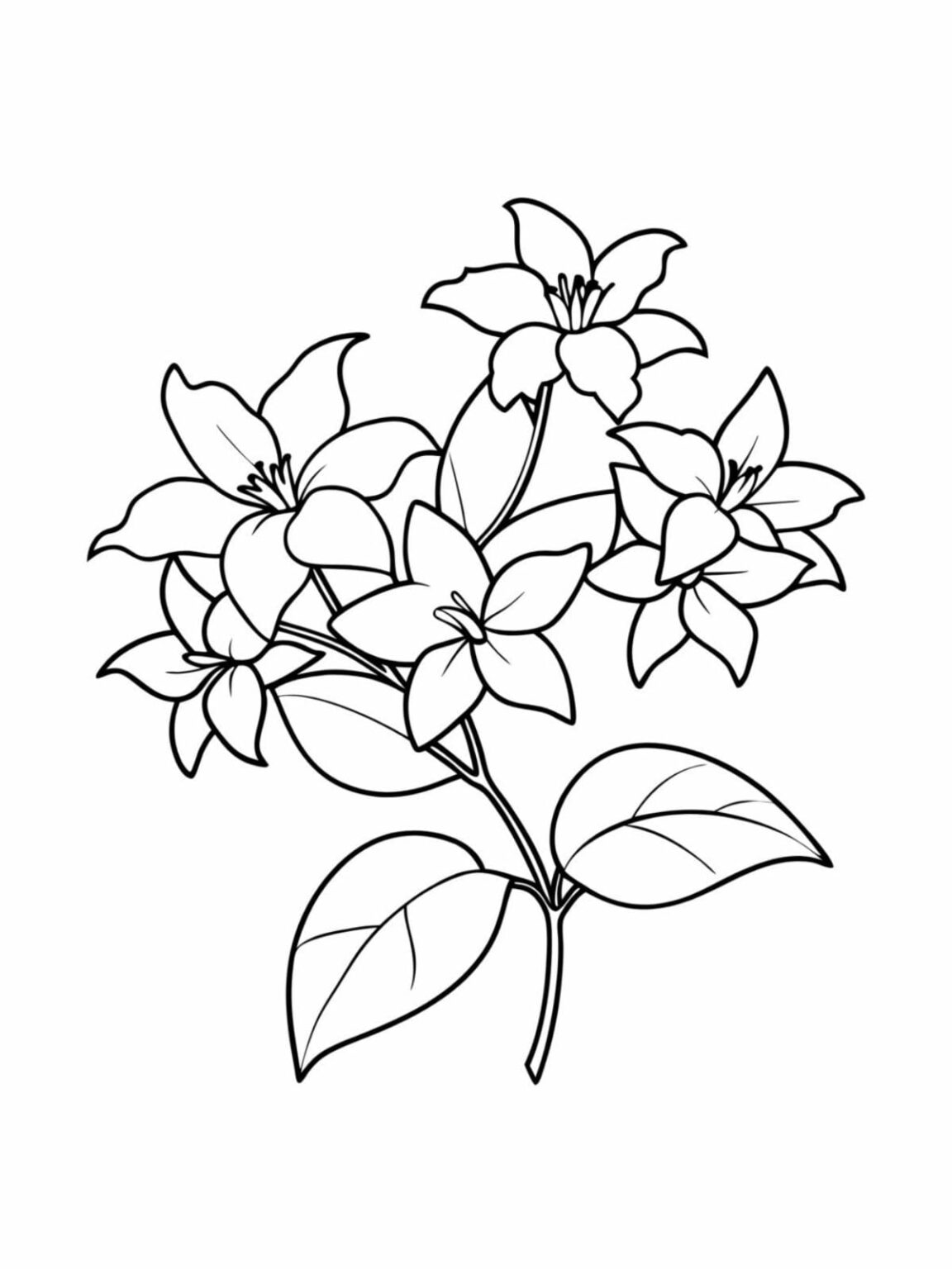 20+ Printable Jasmine Flower Coloring Pages - Coloringpagesforkids.net