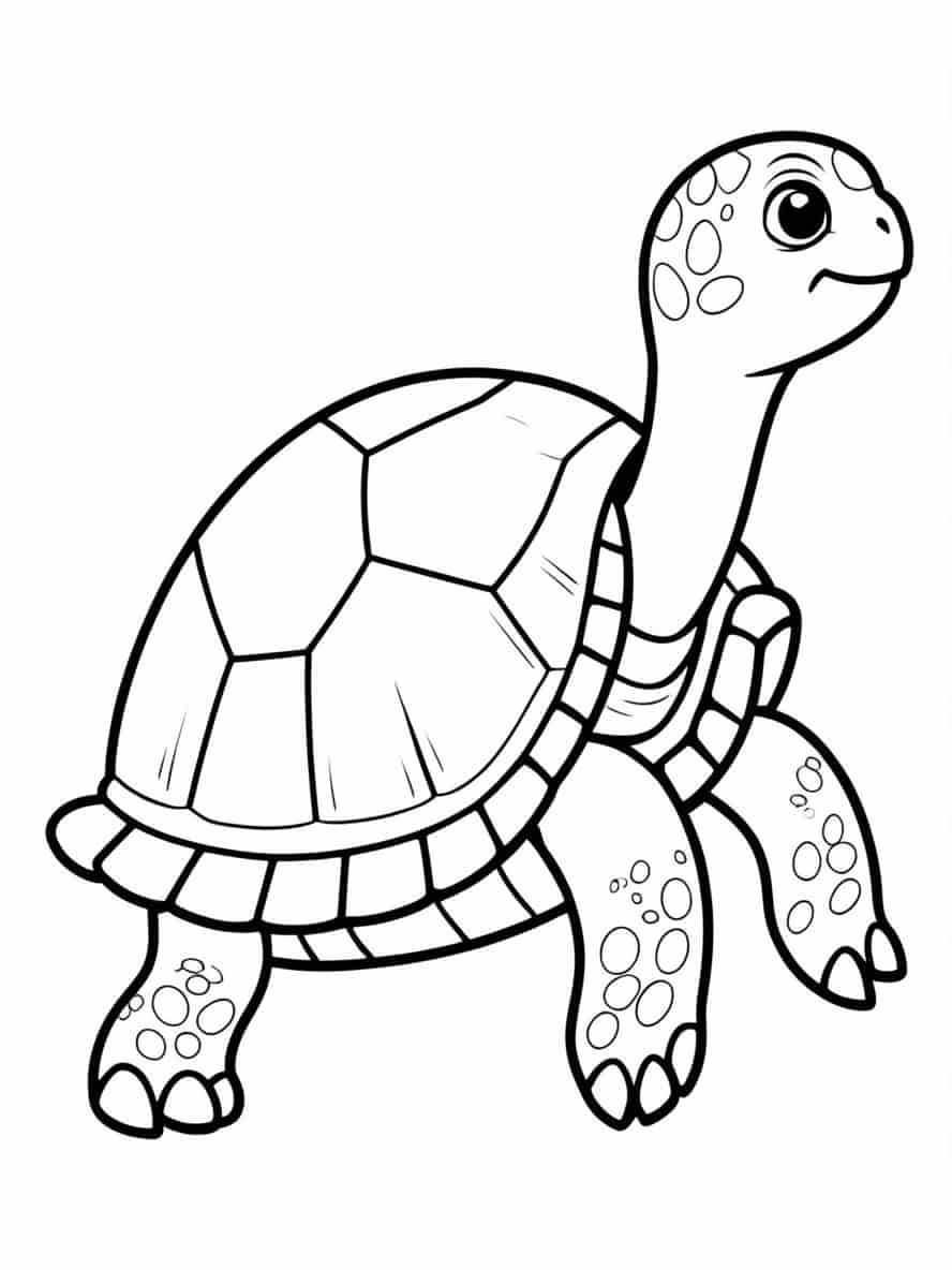 Simple Outline Of Turtle To Coloring Pages