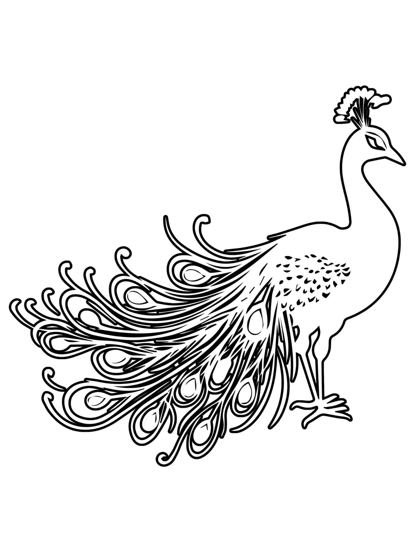 Simple Peacock With Closed Tail Coloring Page