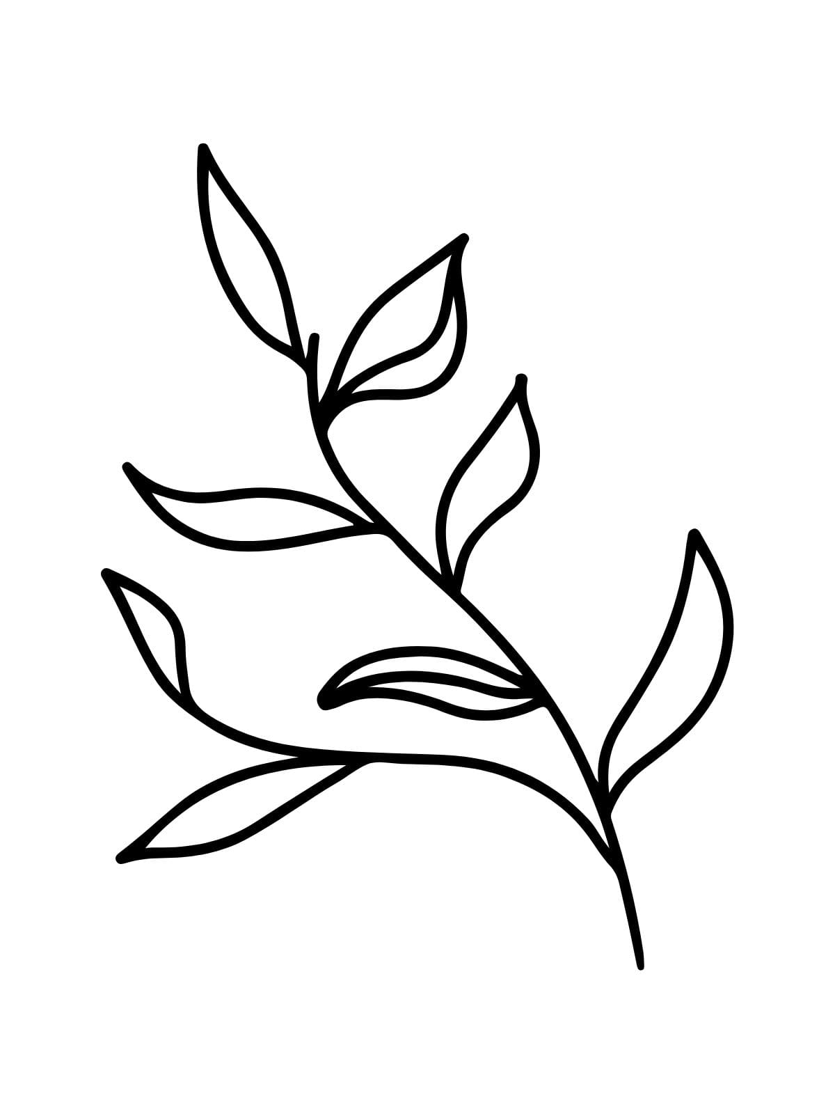 Simple To Color Leaf Patterns Coloring Pages