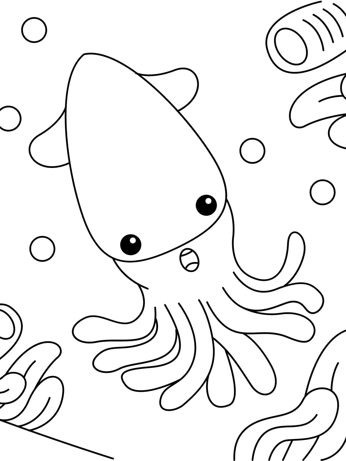 Squid Sea Animal Coloring Pages