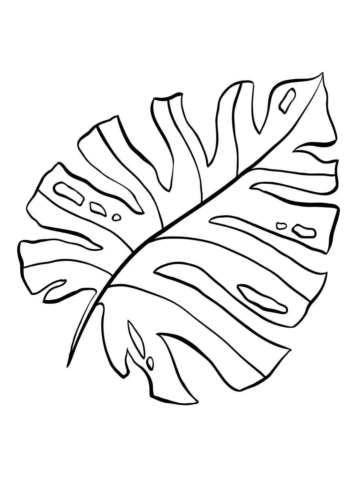 Step By Step Leaf Coloring Pages For Beginners