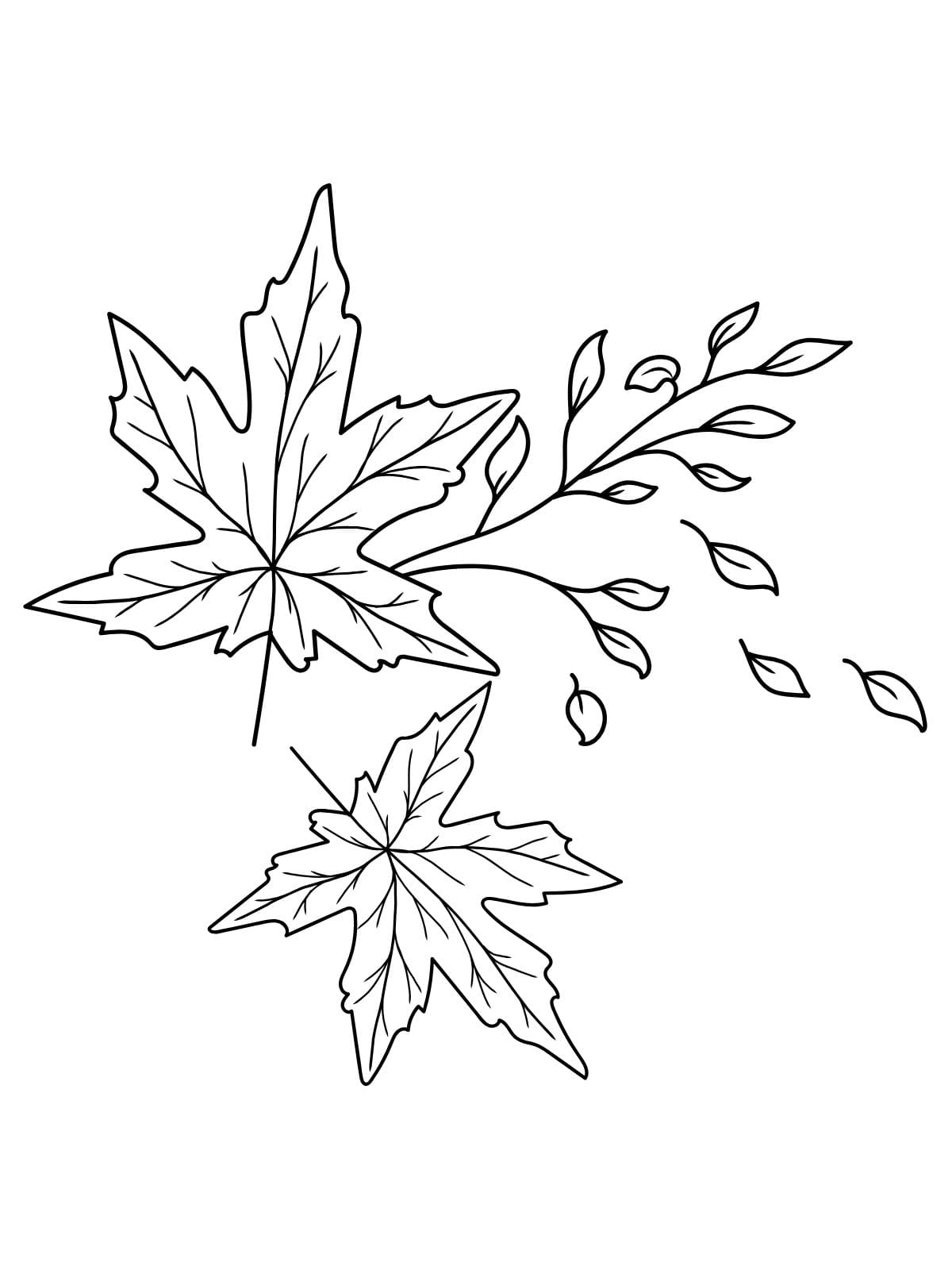 Summer Leaf Coloring Pages