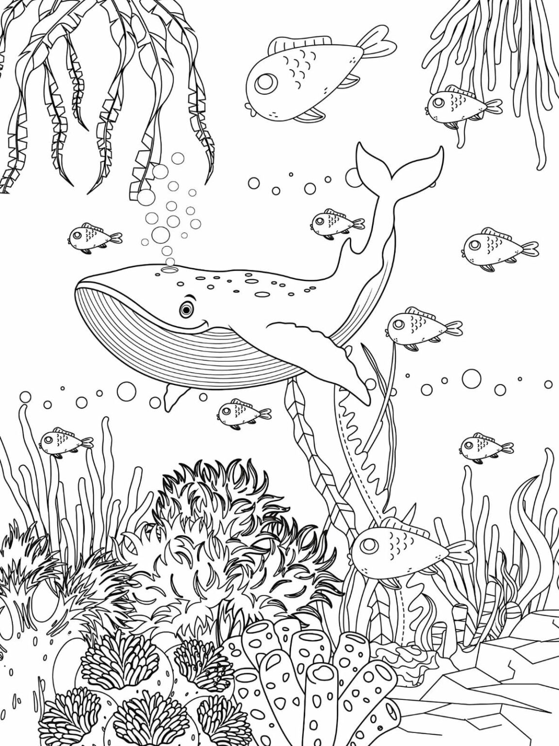 Top 20+ sea animals coloring pages for kids