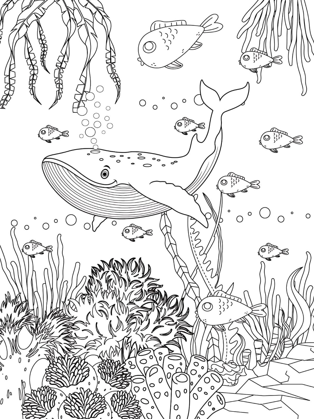 Tropical Fish Coloring Sheets