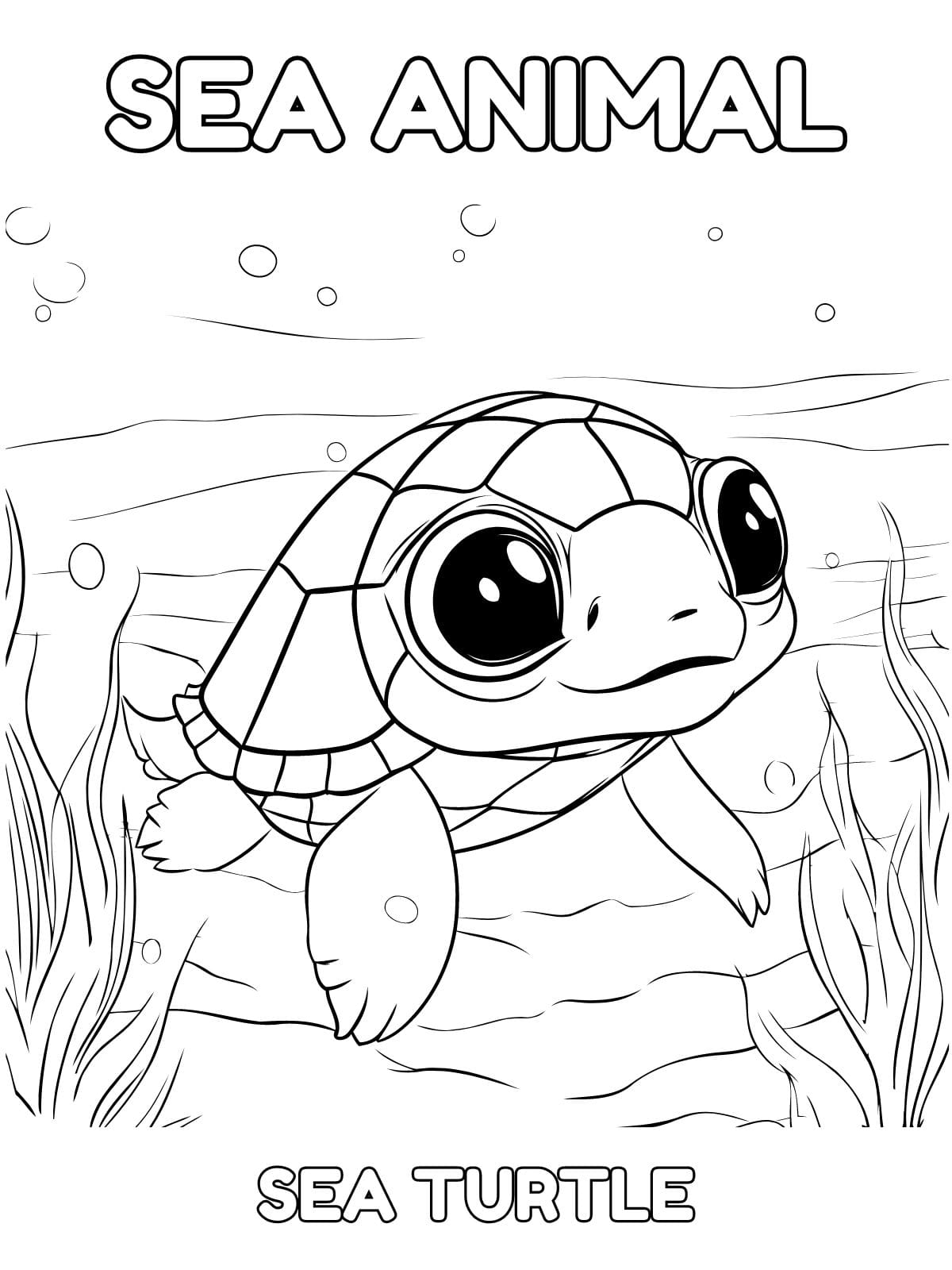 Turtle Sea Animal Coloring Sheets