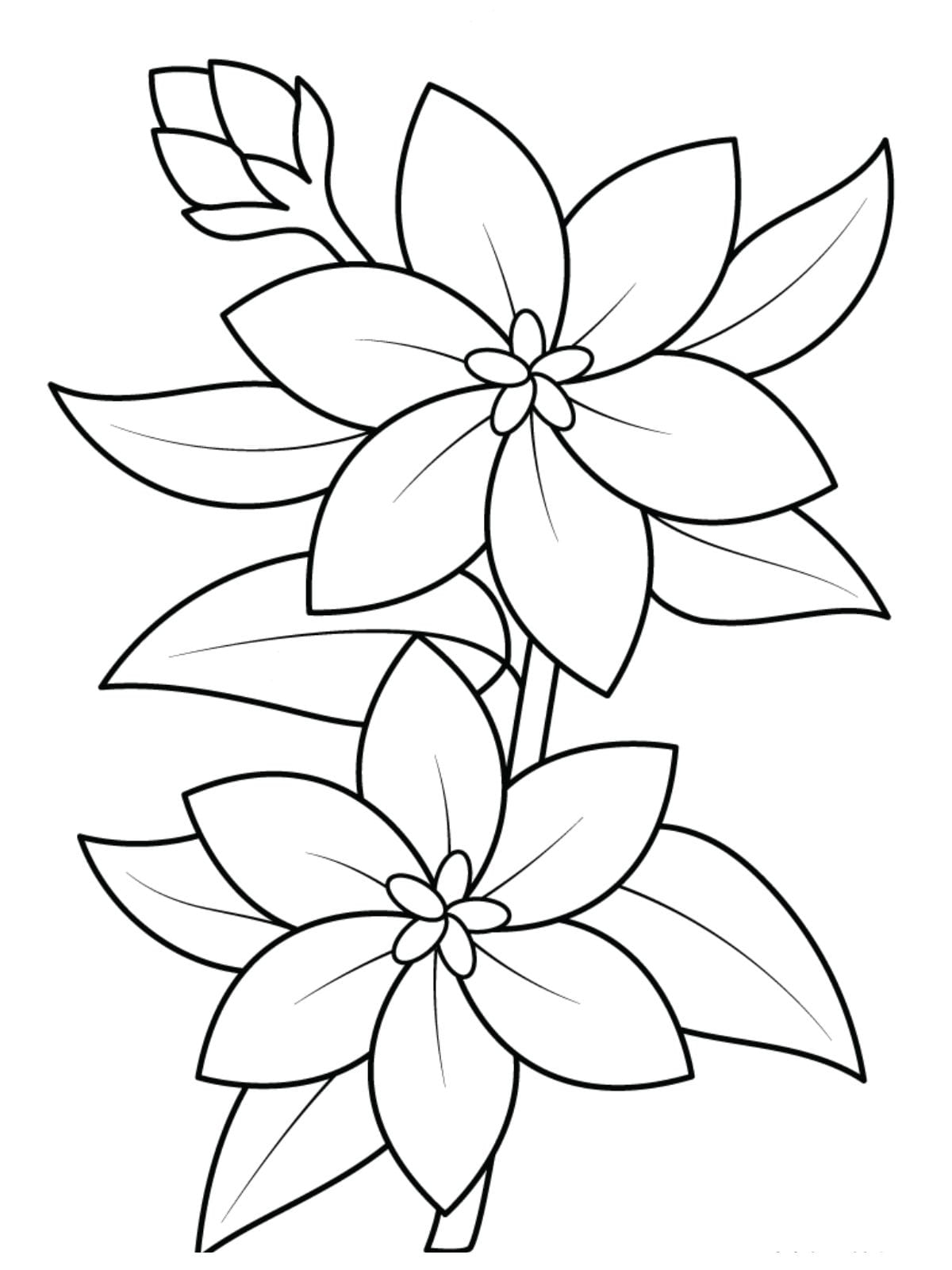 Very Simple Jasmine Flower Coloring Page For Kids