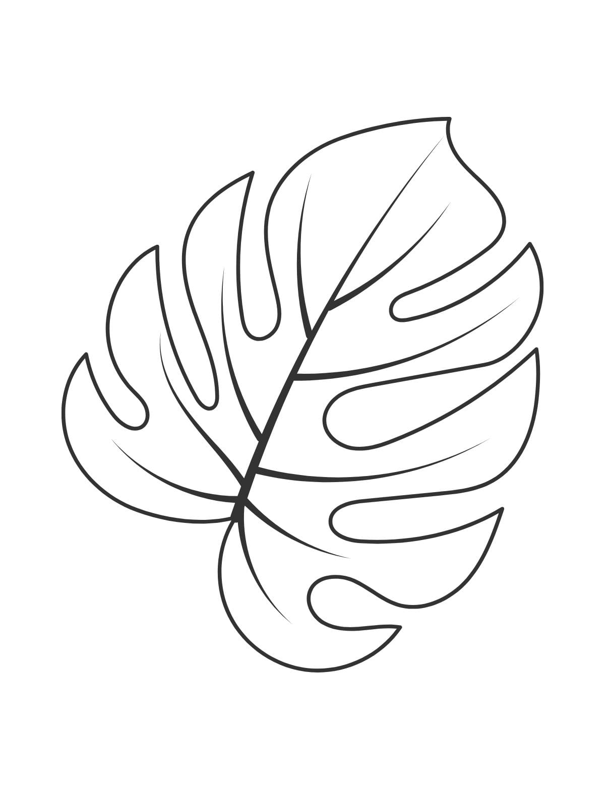 Winter Leaf Coloring Pages