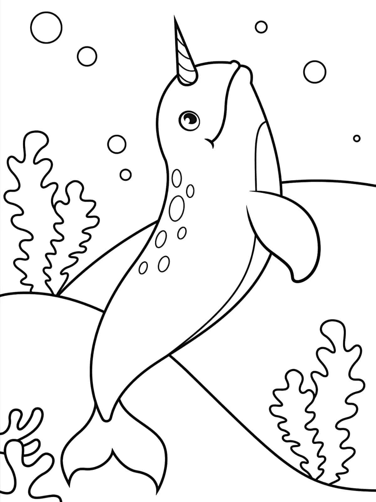 Adorable Narwhal Coloring Sheets