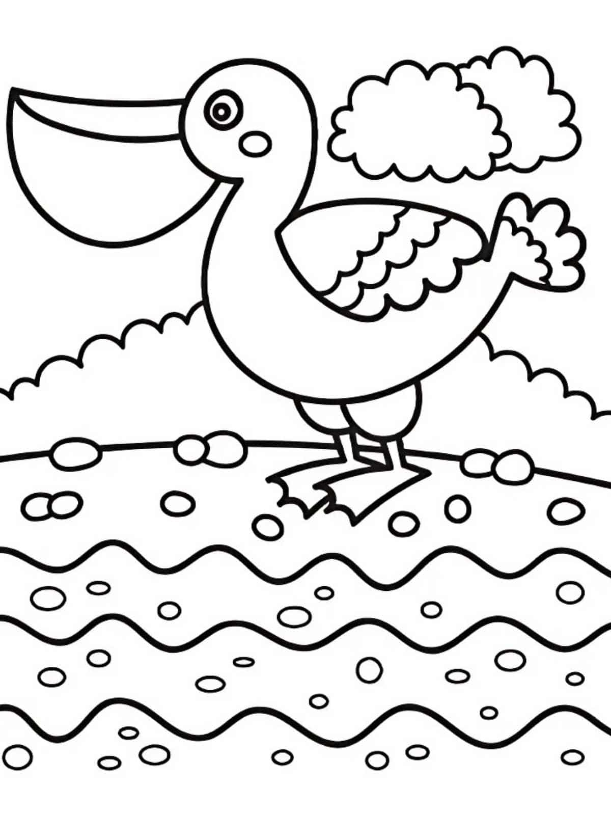 Beautiful Bird Coloring Sheets