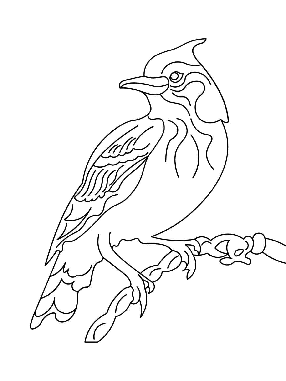 Bird In Garden Coloring Page