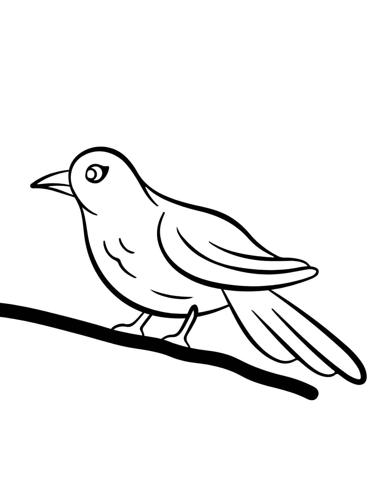 Bird In Tree Coloring Page