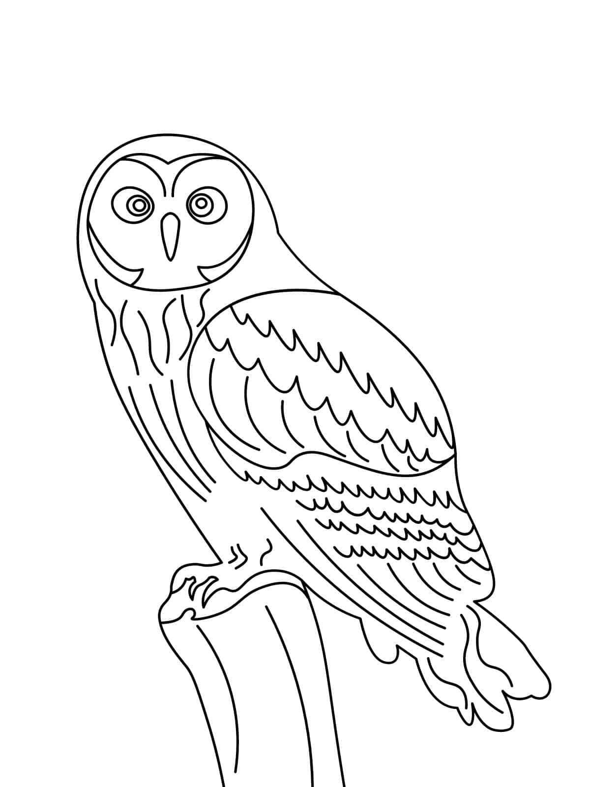 Bird On Branch Coloring Page