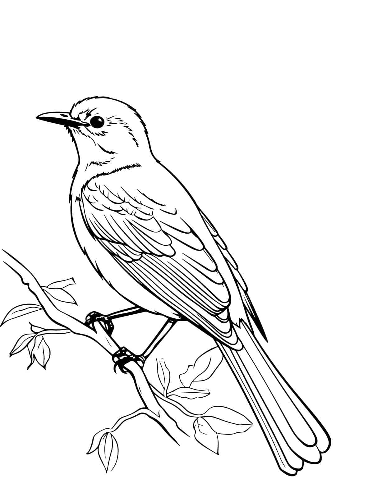 Bird On Wire Coloring Page