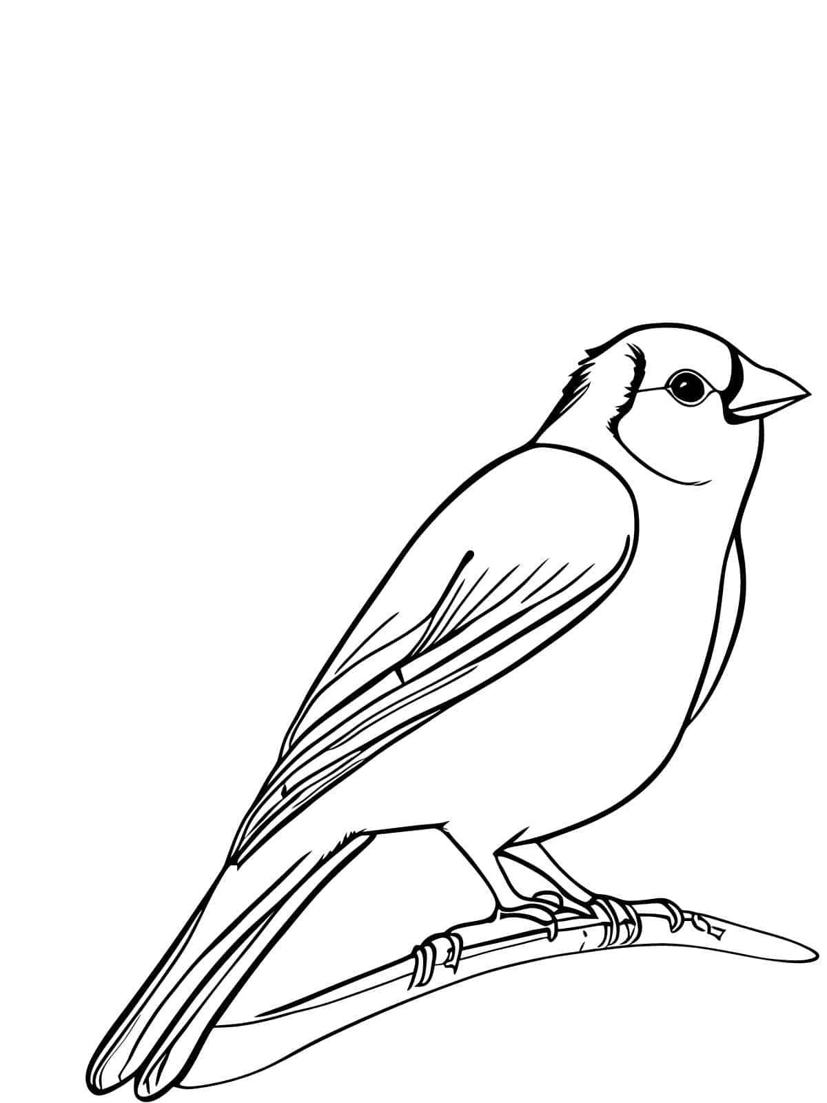 Bird With Baby Birds Coloring Page